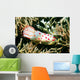 Gymnodoris Ceylonica Nudibranch Solomon Wall Decal