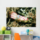 Gymnodoris Ceylonica Nudibranch Solomon Wall Decal
