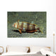 Juvenile Whitepatch Razorfish Iniistius Wall Decal