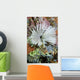Common Feather Duster Worm Wall Decal