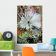Common Feather Duster Worm Wall Decal