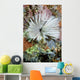 Common Feather Duster Worm Wall Decal