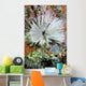 Common Feather Duster Worm Wall Decal
