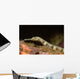 Close-up Schultz's Pipefish Corythoichtys Wall Decal