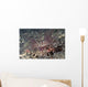 Harlequin Swimming Crab Lives Wall Decal