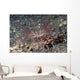 Harlequin Swimming Crab Lives Wall Decal