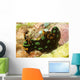 Nembrotha Kubaryana Nudibranch Solomon Wall Decal