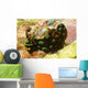 Nembrotha Kubaryana Nudibranch Solomon Wall Decal