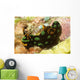 Nembrotha Kubaryana Nudibranch Solomon Wall Decal
