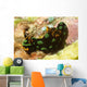 Nembrotha Kubaryana Nudibranch Solomon Wall Decal