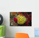 Bennett's Feather Star Oxycomanthus Wall Decal