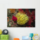Bennett's Feather Star Oxycomanthus Wall Decal