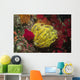 Bennett's Feather Star Oxycomanthus Wall Decal