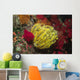 Bennett's Feather Star Oxycomanthus Wall Decal