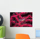 Translucent Gorgonian Shrimp Full Wall Decal