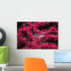 Translucent Gorgonian Shrimp Full Wall Decal