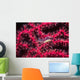 Translucent Gorgonian Shrimp Full Wall Decal