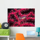Translucent Gorgonian Shrimp Full Wall Decal