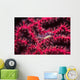 Translucent Gorgonian Shrimp Full Wall Decal