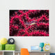 Translucent Gorgonian Shrimp Full Wall Decal