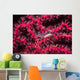 Translucent Gorgonian Shrimp Full Wall Decal