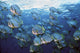 School Longfin Spadefish Platax Wall Decal