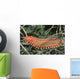 Bearded Fireworm Hermodice Carunculata Wall Decal