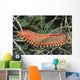 Bearded Fireworm Hermodice Carunculata Wall Decal