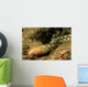Sharptail Eel Myrichthys Breviceps Wall Decal