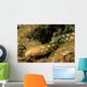 Sharptail Eel Myrichthys Breviceps Wall Decal