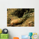 Sharptail Eel Myrichthys Breviceps Wall Decal