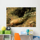 Sharptail Eel Myrichthys Breviceps Wall Decal