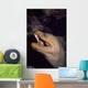 Close-up Green Moray Eel Wall Decal
