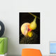 Norris's Topsnail Grazing Kelp Wall Decal