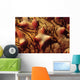 Close-up Tubercles Sea Stars Wall Decal