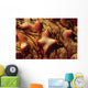 Close-up Tubercles Sea Stars Wall Decal
