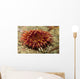 Stubby Rose Anemone Urticina Wall Decal