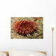 Stubby Rose Anemone Urticina Wall Decal