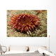 Stubby Rose Anemone Urticina Wall Decal