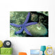 Blue Sea Star Linckia Wall Decal