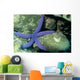 Blue Sea Star Linckia Wall Decal