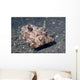 Strapweed Filefish Lembeh Strait Wall Decal Design 1