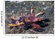 Flamboyant Cuttlefish Metasepia Pfefferi Wall Decal