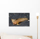 Spiny Waspfish Ocean Bottom Wall Decal