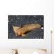 Spiny Waspfish Ocean Bottom Wall Decal