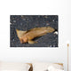 Spiny Waspfish Ocean Bottom Wall Decal