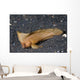 Spiny Waspfish Ocean Bottom Wall Decal