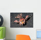 Spiny Devilfish Walks along Wall Decal