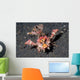 Spiny Devilfish Walks along Wall Decal