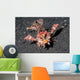 Spiny Devilfish Walks along Wall Decal